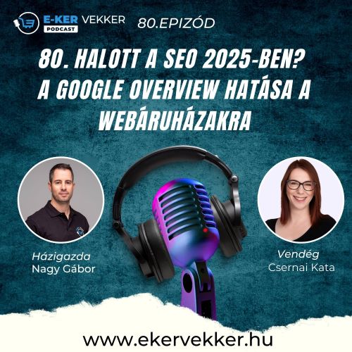 80. Halott a SEO 2025-ben? A Google Overview Hatása a Webáruházakra